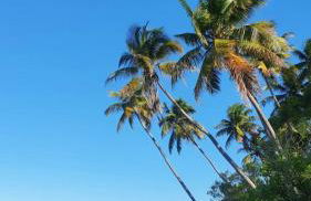 Pousada Feliz Boipeba - Foto 9