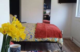 Beautiful Cabin near Padstow - Foto 8