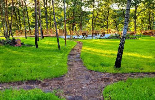 Leśna Kryjówka domki w lesie - Foto 6