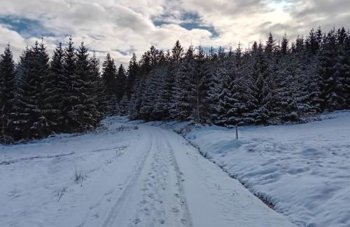 Lauschablick FeWo Thüringen - Foto 21