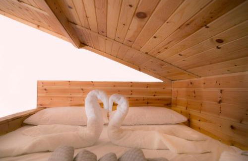 Captain Ikaros - Foto 86