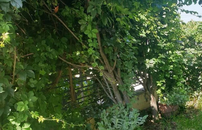 Dream Cottage Nikiti Greece - Foto 34