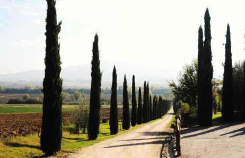 Holiday Home Near Lago di Chiusi With Pool - Foto 42