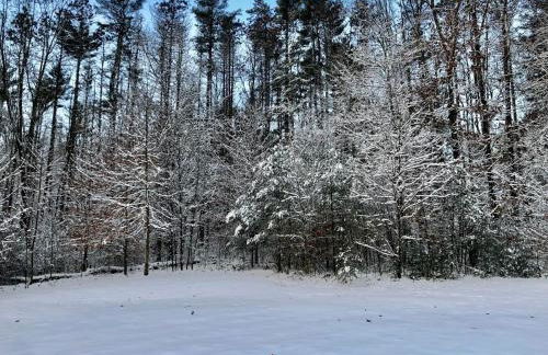 Berkshire Vacation Rentals: Peaceful Post and Beam Loft Sleeps 9 - Foto 52