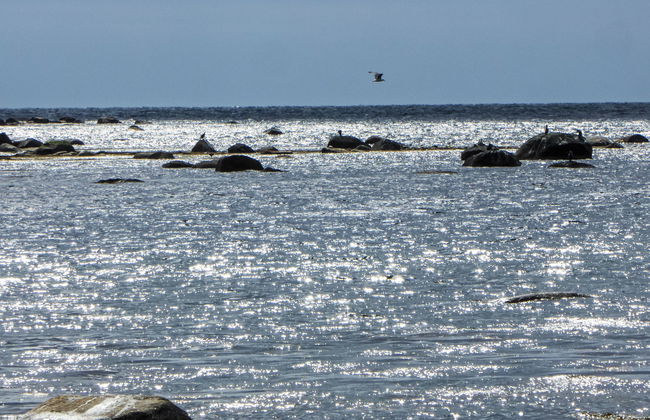 Åptafjorden - Foto 30