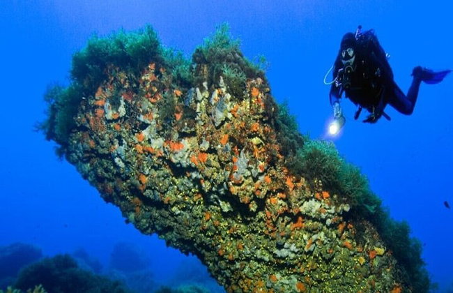 "Corso di immersione professionale" per 4 giorni di straordinaria vita marina - Foto 1