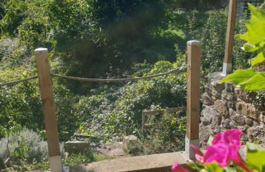 la source fraiche - Foto 24