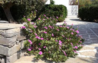 Dina's Diamond - Foto 44