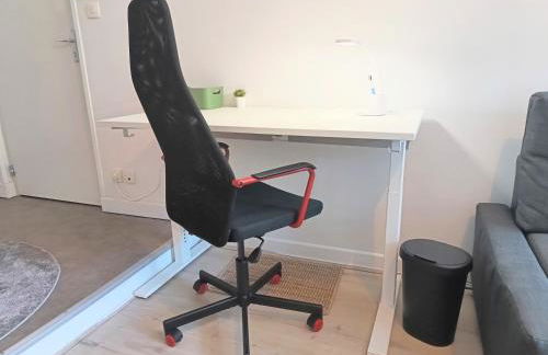 Studio jardin de l'hôtel de ville - Foto 13