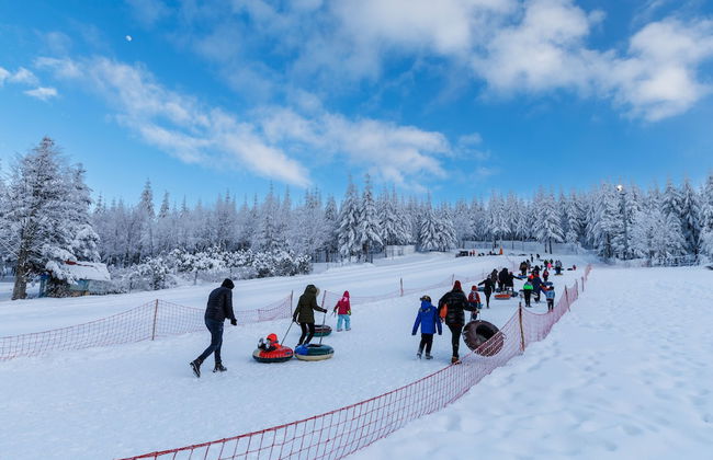 Tumba Sisli Vadi - Foto 31