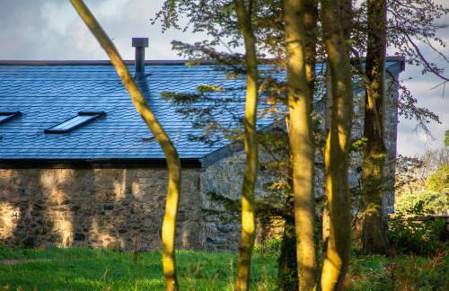 Murmur y Coed - Foto 12