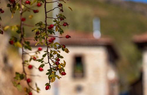 Genciana, Casa Rural con encanto en La Montaña Leonesa - Photo 44