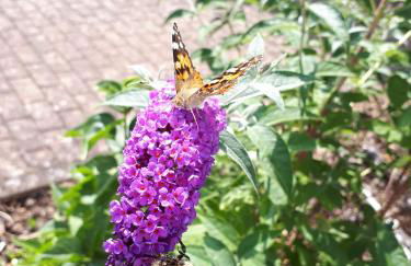 Ferienwohnung Emma - Foto 1
