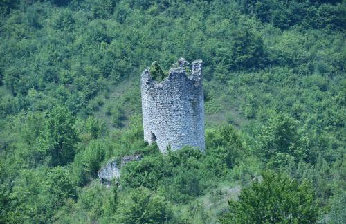 Imanje Jelaš - Foto 36