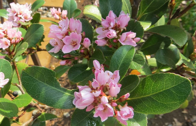 Bella Vista Self Catering - Foto 42