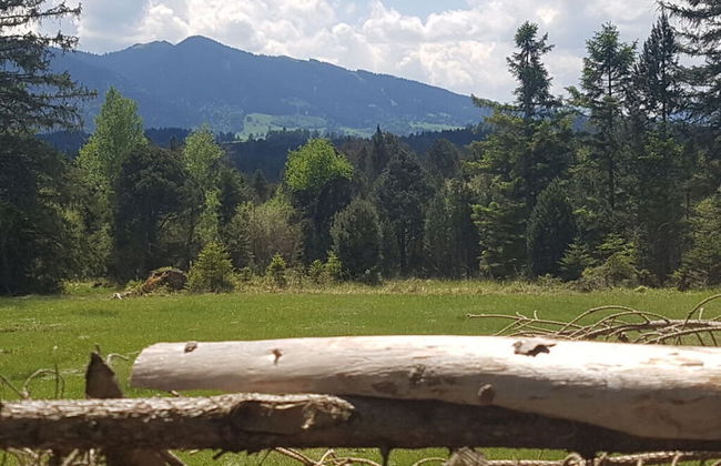 Haus Jorg Sosna Modern Retreat - Foto 11