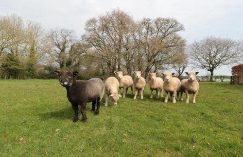 The Granary - Foto 35