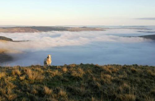 Welsh Miners Cottage Four Bedroom House - Foto 35
