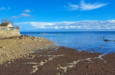 Clos St Vaast près plage et port - Foto 28