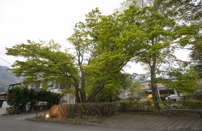 Villa Yushin - Foto 62