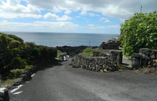 Adega Ninho da Cagarra - Photo 33