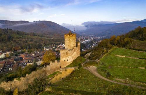 Origin'Alsace - Foto 19