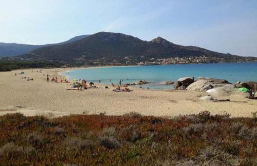 T2 Neuf climatisé dans villa à Corbara - Foto 10