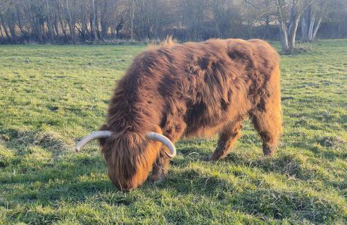 Studio à la mer - Foto 27