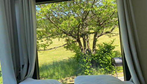 Rauszeit-Tiny Waldblick - Foto 3