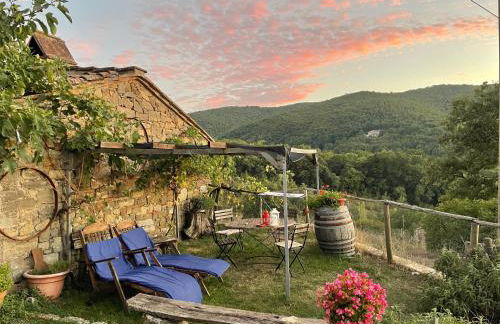 Agriturismo Podere Tegline - Foto 11