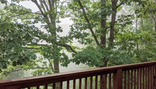 Corner Lake Getaway - Photo 1