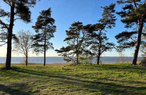 Domki na Skarpie - Wypoczynek z widokiem na Zalew - Frombork - Foto 34