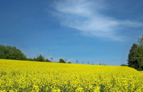 "weserbergland" Modern Retreat - Foto 25