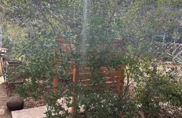 Domo Austinu - Abbasanta - Foto 16