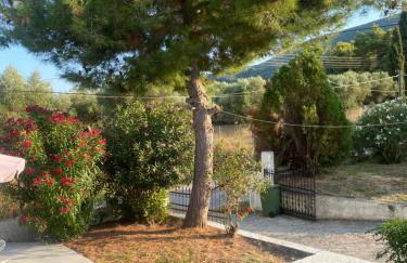 Zante Star Summer House - Photo 11