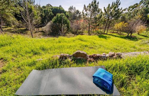 Casa na Floresta - Photo 10