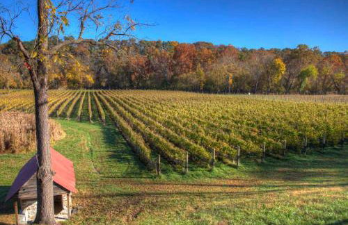 Hot Tub Luxe Retreat • Game Room • Lake • Bryce - Foto 27