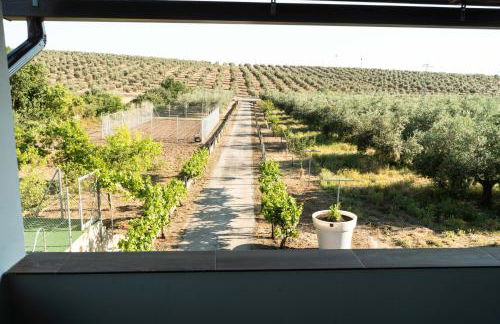 La Esperanza Rural Tourist - Foto 27