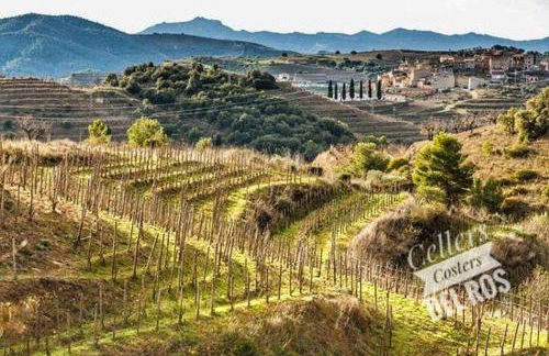 Ca l'Aixut Turismo Rural - Foto 39