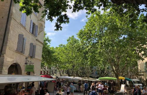 Douceur Uzétienne Appartement de Caractère Climatisé - Foto 42