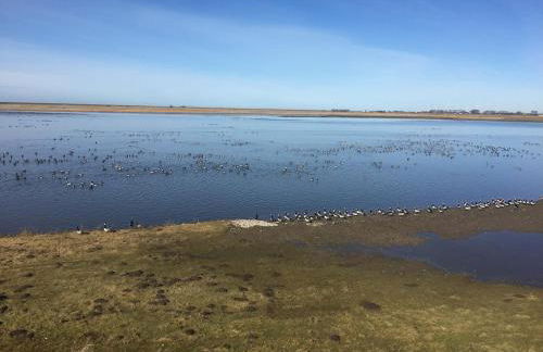 Deichkieker - charmantes Ferienhaus mit großem Garten in Alleinlage nahe der Nordsee - Foto 46
