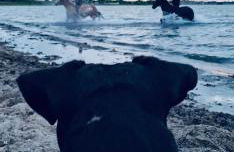 Reihenhaus Geltinger Bucht - Foto 30