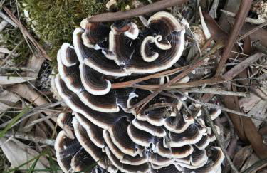 Moradia próxima da praia do Areinho, na Ria, e praia dos Marretas - Foto 7