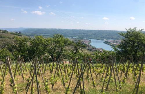 Condrieu et parking voiture vélo 2 ème étage - Foto 25