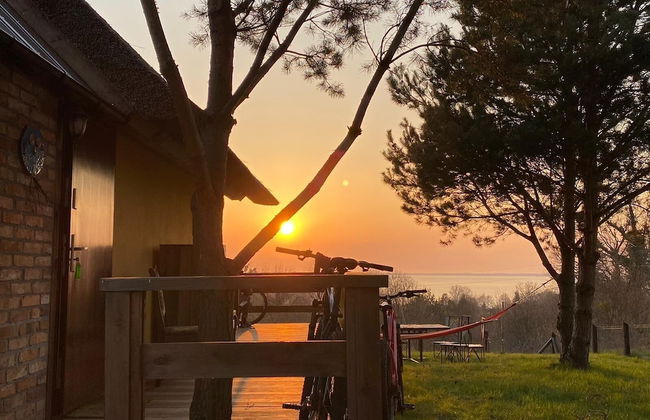 Ptasia Osada - Photo 53