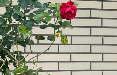 Stylish vintage house near Frankfurt - Foto 19