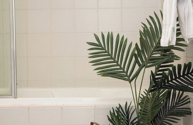 Byron Lakeside Holiday Apartments - Foto 14