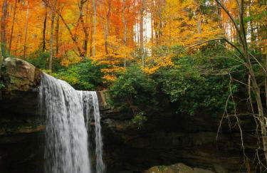 Paddler's Lane Retreat - Foto 42