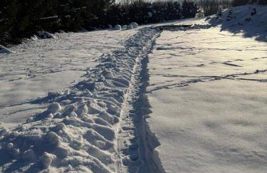 Apartamenty Euphoria - Foto 23