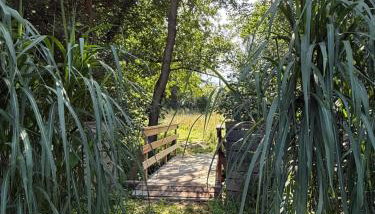Domy nad Strugą - jacuzzi, las, wieś, rowery, kajaki - Foto 3, Garden view